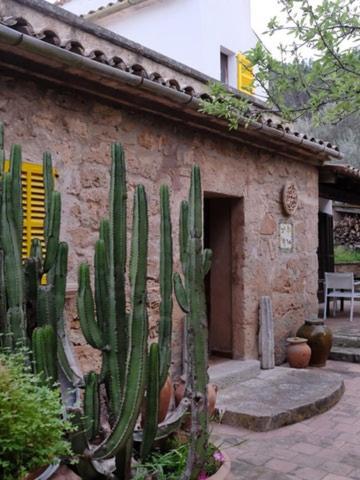Hostal Catalina Vera Puerto de Andrach Esterno foto